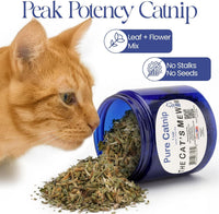 Pure Catnip for Cats North American Grown Fresh Catnip Jar