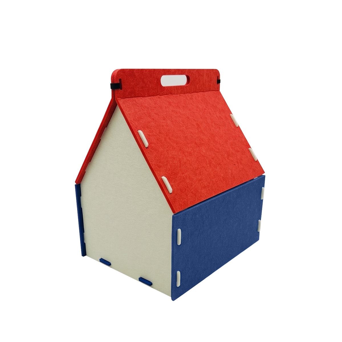 Cat Carrying A House