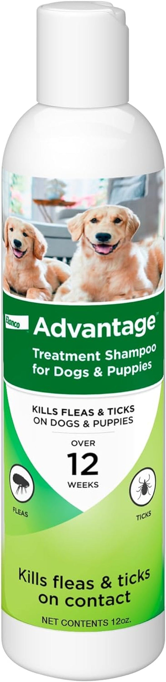 12 Oz Flea & Tick Shampoo for Puppies & Adult Dogs . - BIG FRENCHIES