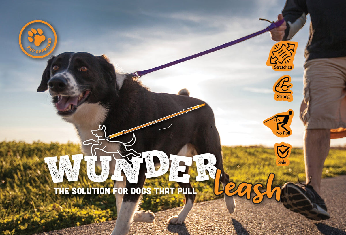 WUNDERleash – The Original No-Pull Dog Leash-Pet Collars & Leashes-BIG FRENCHIES-WACKYstore