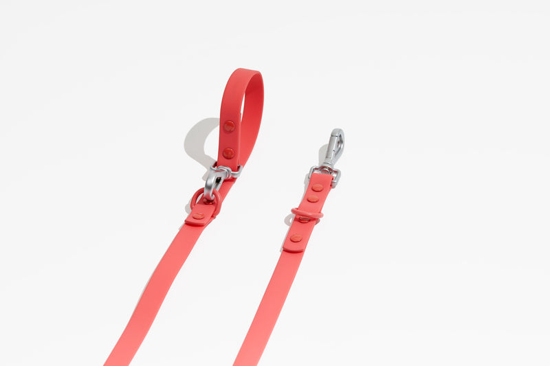 Luxe Leash - Poppy-Leash-BIG FRENCHIES-Pawmigo