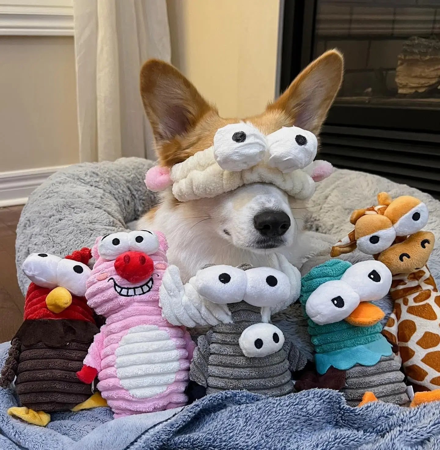 5-Pack Squeaky Dog Toys, Durable Plush Critter Set for Small to Large Dogs - BIG FRENCHIES