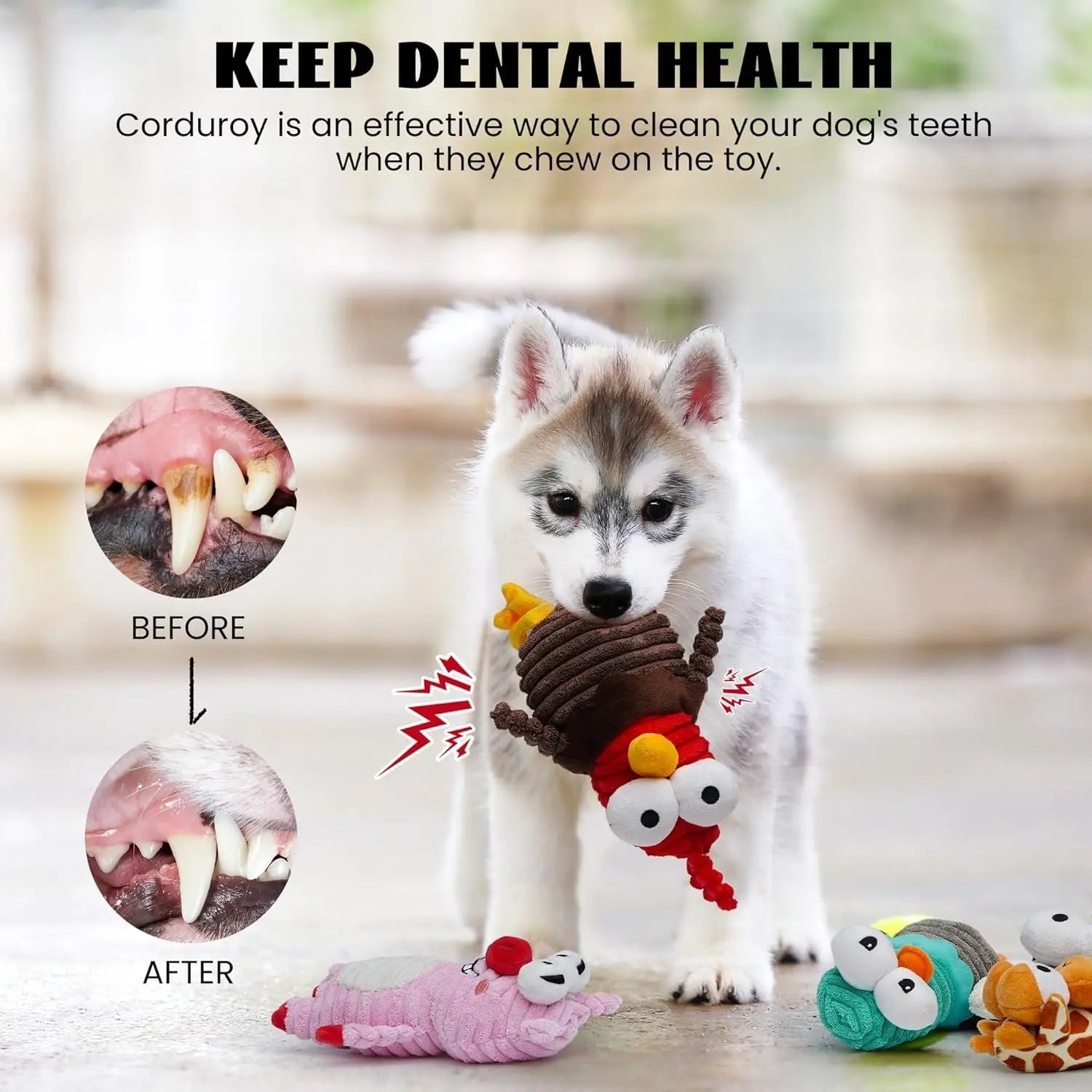 5-Pack Squeaky Dog Toys, Durable Plush Critter Set for Small to Large Dogs - BIG FRENCHIES