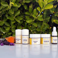 5 Steps to Perfect Skin Clear Up Mini Kit - BIG FRENCHIES