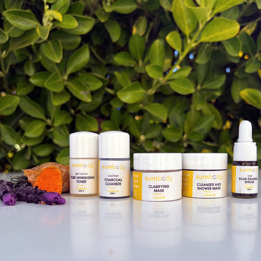 5 Steps to Perfect Skin Clear Up Mini Kit - BIG FRENCHIES