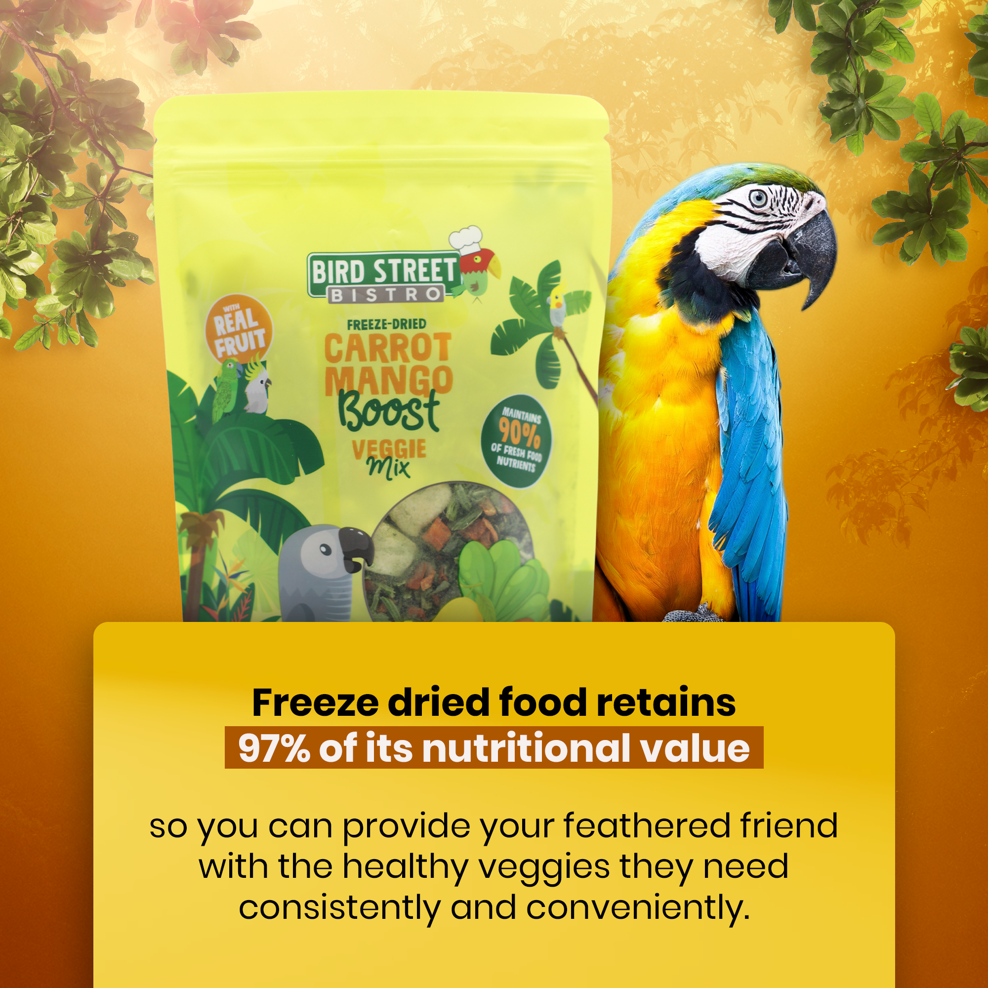 Carrot Mango Boost - Parrot Veggies Mix