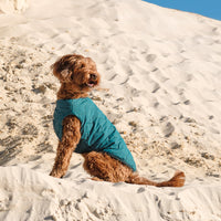 Sustainable Eco-Friendly Dog Jacket / Vest - Made in Ukraine - BIG FRENCHIES