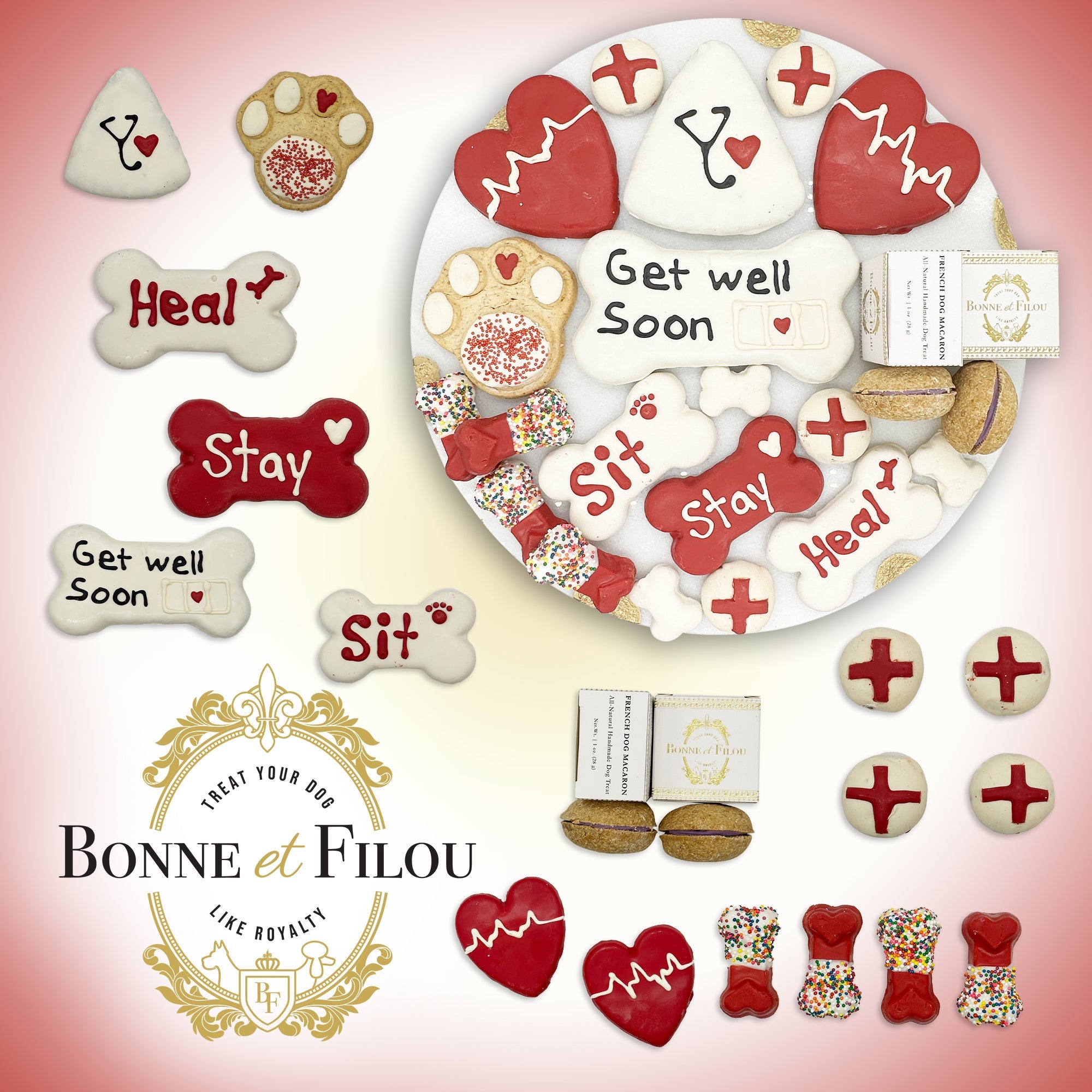 Get Well Soon Themed Dog Treats Gift Box - BIG FRENCHIES