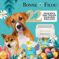 Spring Themed Dog Treats Gift Box - BIG FRENCHIES