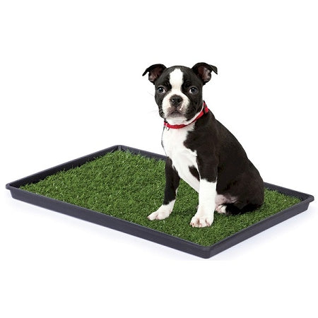 Prevue Pet Products Tinkle Turf Large 502 Indoor Dog Potty for Labs, Golden Retrievers, Boxers and Huskies
