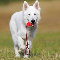Pet Toy Natural Rubber Rope Hoist