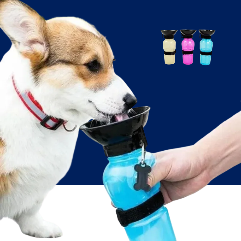 500ml Outdoor Portable Pet Water Bottle – Leakproof Dog & Cat Travel Cup with Drinking Bowl Feeder - BIG FRENCHIES