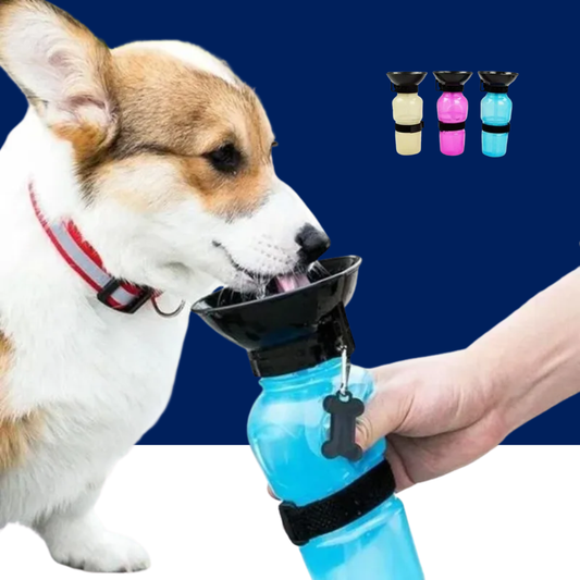 500ml Outdoor Portable Pet Water Bottle – Leakproof Dog & Cat Travel Cup with Drinking Bowl Feeder - BIG FRENCHIES