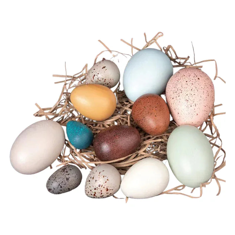 12-Piece Wooden Bird Eggs Set – Nature-Inspired Sensory & Pretend Play - BIG FRENCHIES