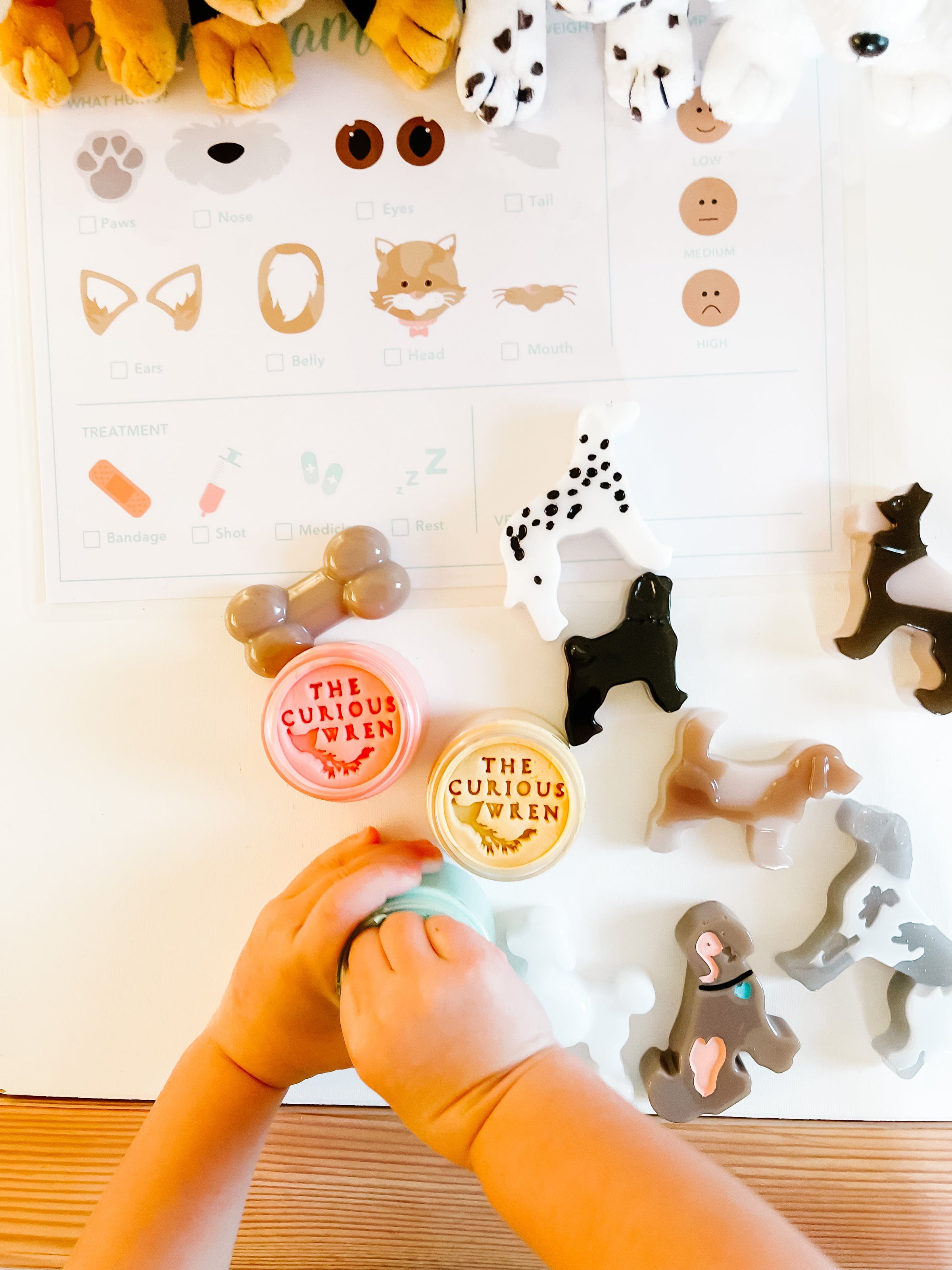 Vet Clinic Dramatic Play