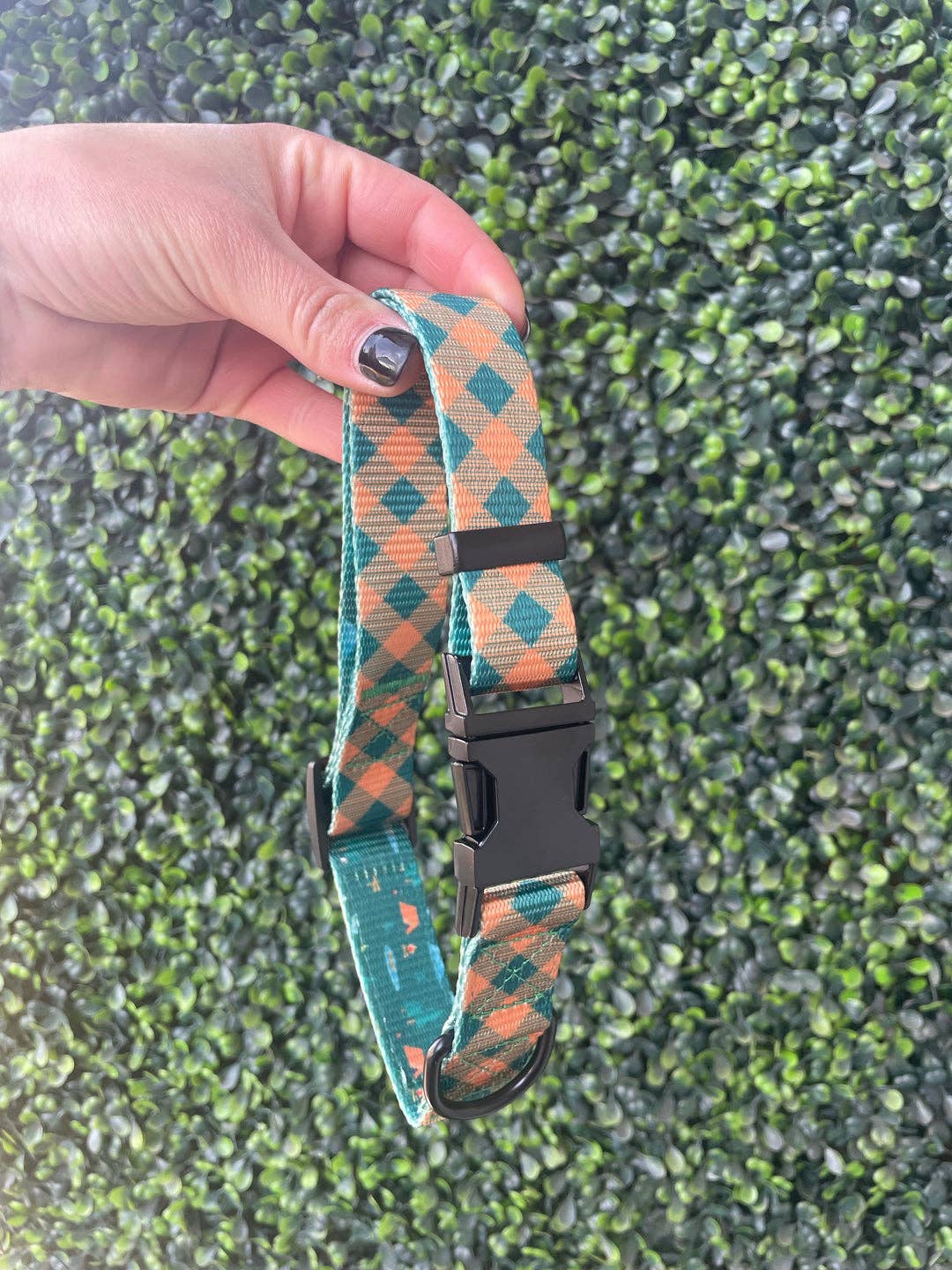 The Modern Dog Company - Plaid Camping Collar - BIG FRENCHIES
