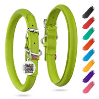 Rolled Leather Dog Collar Padded 8–10 in Neck Green