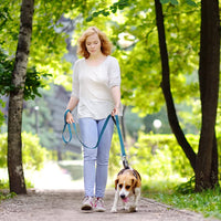 5 FT Heavy Duty Dog Leash with 2 Comfortable Padded Handles - BIG FRENCHIES