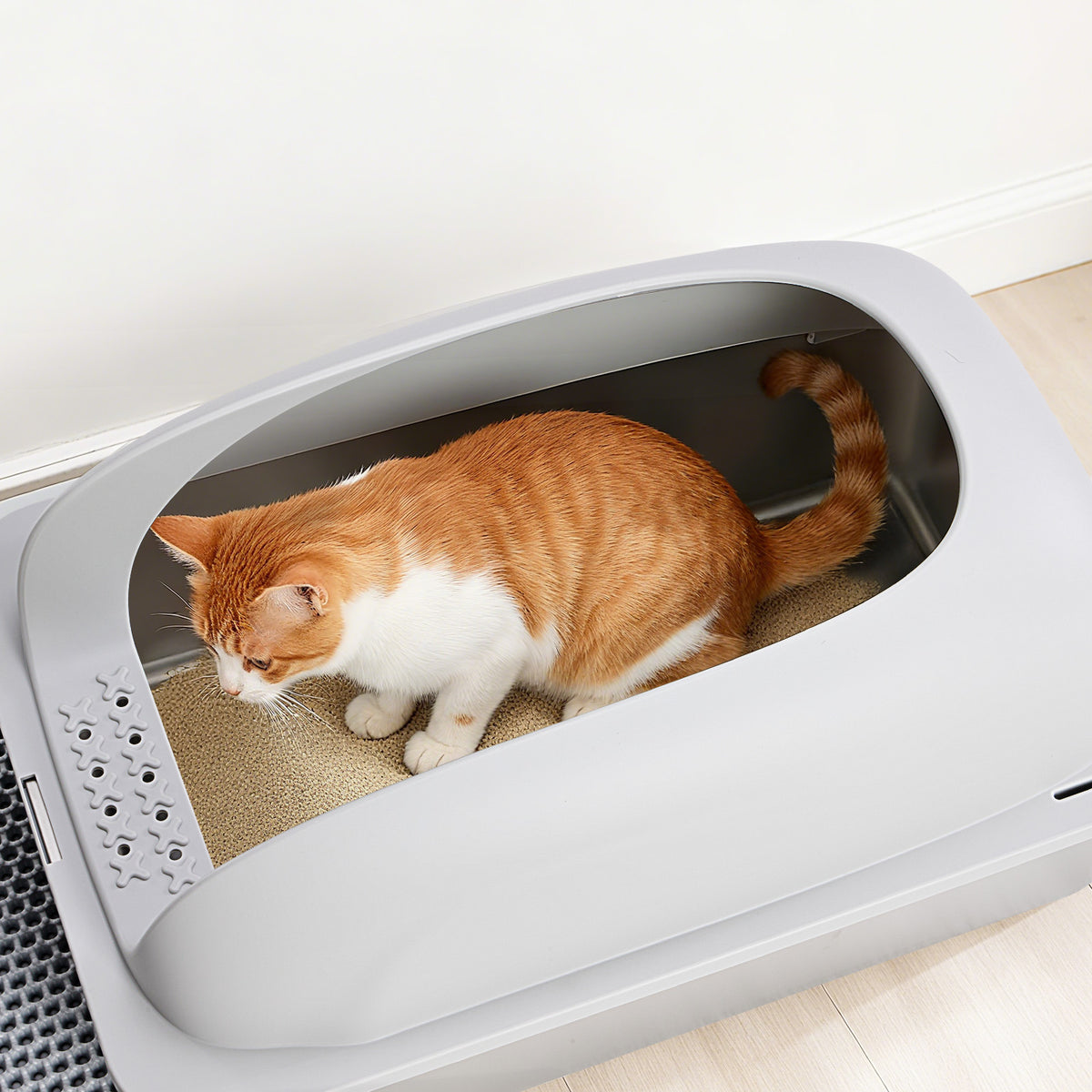 Stainless Steel Cat Litter Box With Lid, Large Cat Litter Box For Big Cats, Scoop And Mat Included