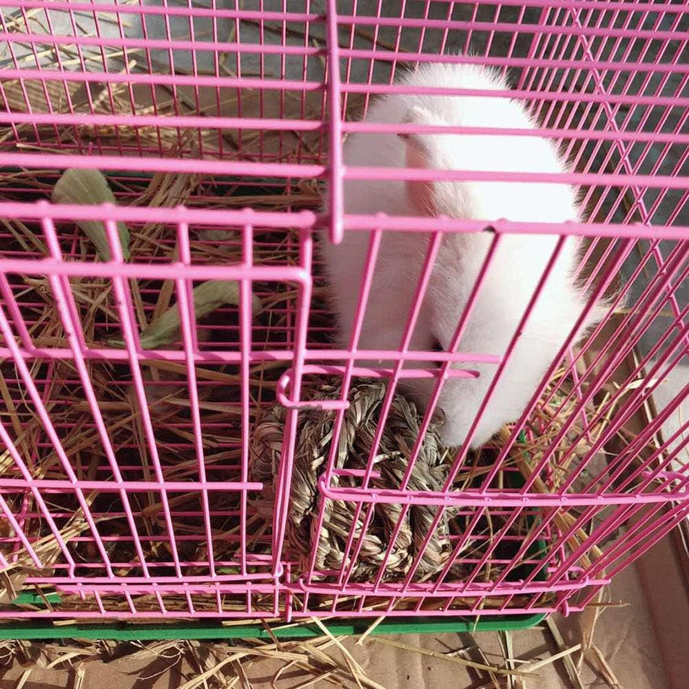 Get Your Furry Friends Hopping with Our Timothy Grass Chew Ball – Perfect Playtime for Bunnies, Hamsters, and Guinea Pigs! 🐰🐹🥳 - BIG FRENCHIES