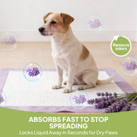 Lavender Scented Disposable Pet Training Pads