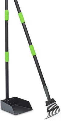 Pooper Scooper for Dogs, Metal Poop Scooper Tray and Rake Set with Adjustable Long Handle, Dog - Black & Green