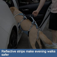 Coodeo Dog Lift Harness, Full Body Support & Recovery Sling, Pet Rehabilitation Lifts Vest for Old Dog with Arthritis Walk(Bule,L)