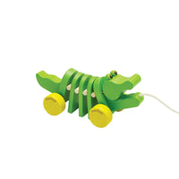 Dancing Alligator - BIG FRENCHIES
