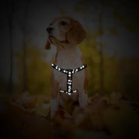 PUPTECK No Pull Dog Harness Soft Adjustable Basic Nylon Step in Puppy Vest Outdoor Walking with ID Tag, Moon Star Black, S