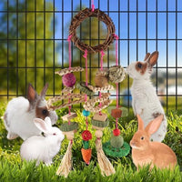 YIXUND Rabbit & Guinea Pig Toys - 18 Pcs - image 3