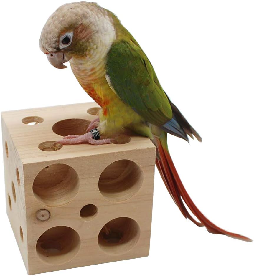 QBLEEV Bird Basketball Toy - Block Puzzle L