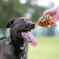 Nerf Dog Spiral Squeak Football Outdoor Dog Toy, 5 Inch Dog Football Squeaking Toy for Medium and Large Breeds, Orange