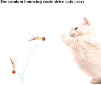 Cat Toy Balls, 5 PCS Colorful Feather Bouncy Balls for Cats No Noise Interactive Kitten Toys Cat Exercise Ball, Safe for Your Kitty (B)