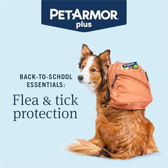 PetArmor Plus Flea and Tick Prevention for Dogs, Dog Flea and Tick Treatment, 12 Doses, Waterproof Topical, Fast Acting, X-Large Dogs (89-132 lbs)