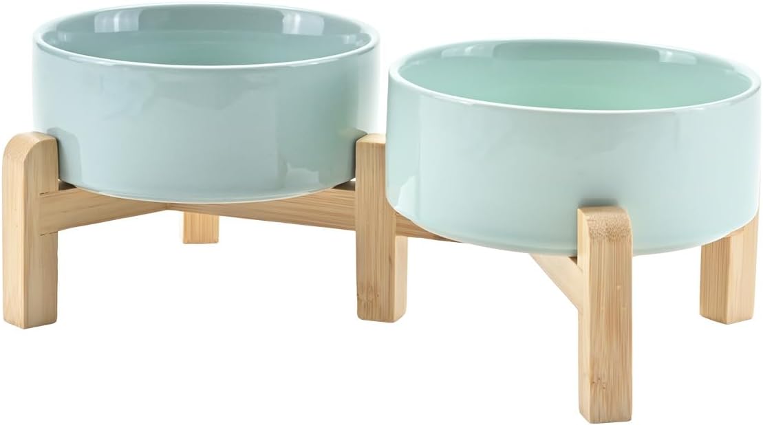 SPUNKYJUNKY Elevated Dog Bowls Ceramic - 5.1 in - 1.7 cups / Light Green
