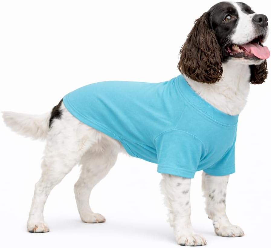 Lovelonglong Pet Clothing Dog Costumes Basic Blank T-Shirt Tee Shirts - XXL (-30lbs) / Turquoise