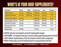 Horse Guard Hoof Supplements for Horses - 80 Servings - Biotin Hoof Blast 10lb Bag with 100mg Biotin per Serving - Concentrated Equine Hoof Health, Strengthener with MSM, Methionine, Zinc