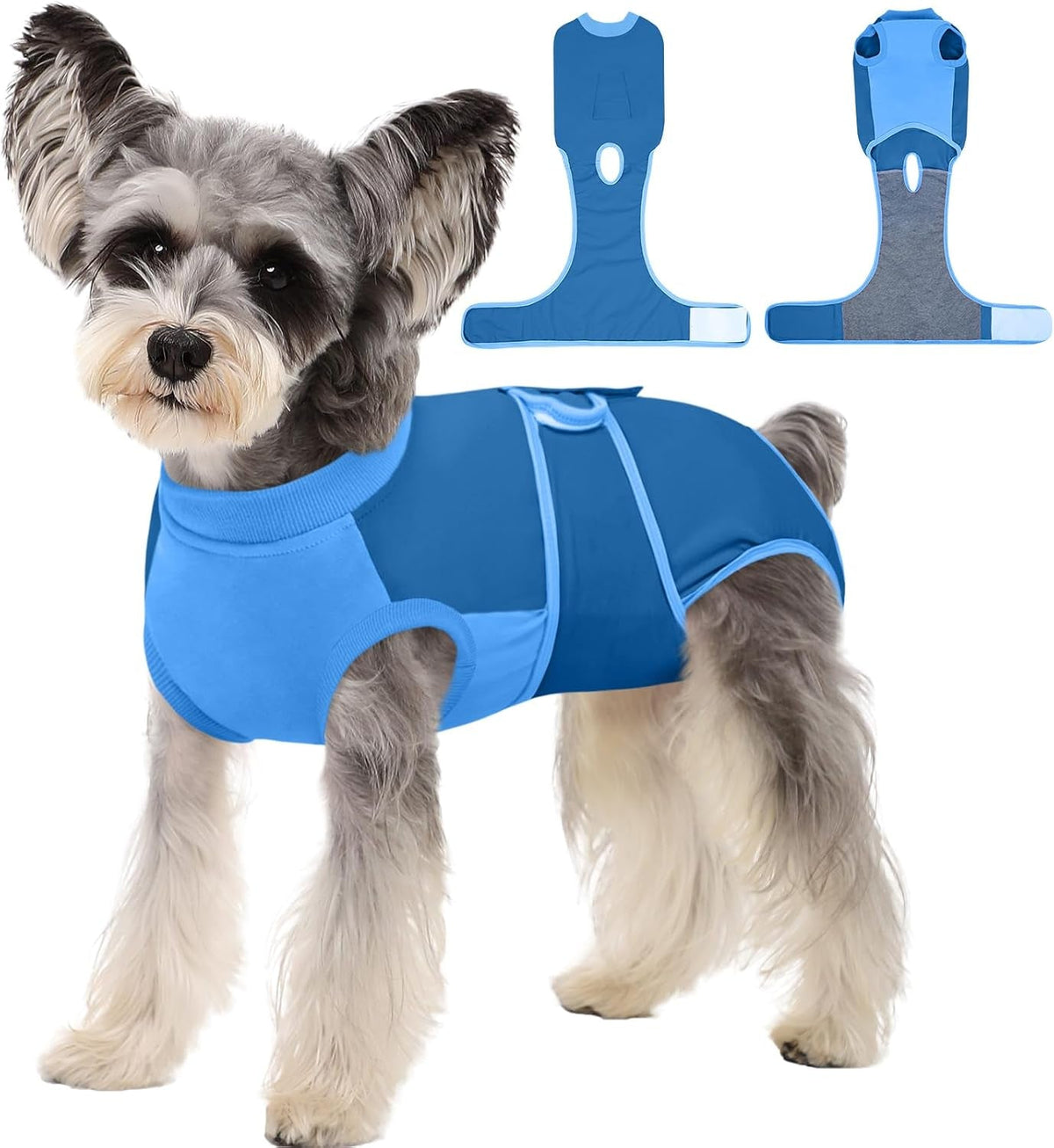 Female Dog Recovery Suit After Spay, XS–2XL