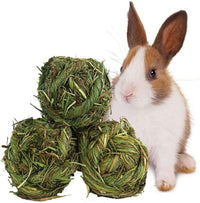 Get Your Furry Friends Hopping with Our Timothy Grass Chew Ball – Perfect Playtime for Bunnies, Hamsters, and Guinea Pigs! 🐰🐹🥳 - BIG FRENCHIES