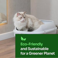 Tofu Cat Litter – Clumping, Flushable, Ultra Absorbent & Fast Drying | 100% Natural, Dust-Free, Low Tracking | Water-Soluble & Eco-Friendly (2.5 lbs x 1 Bag)