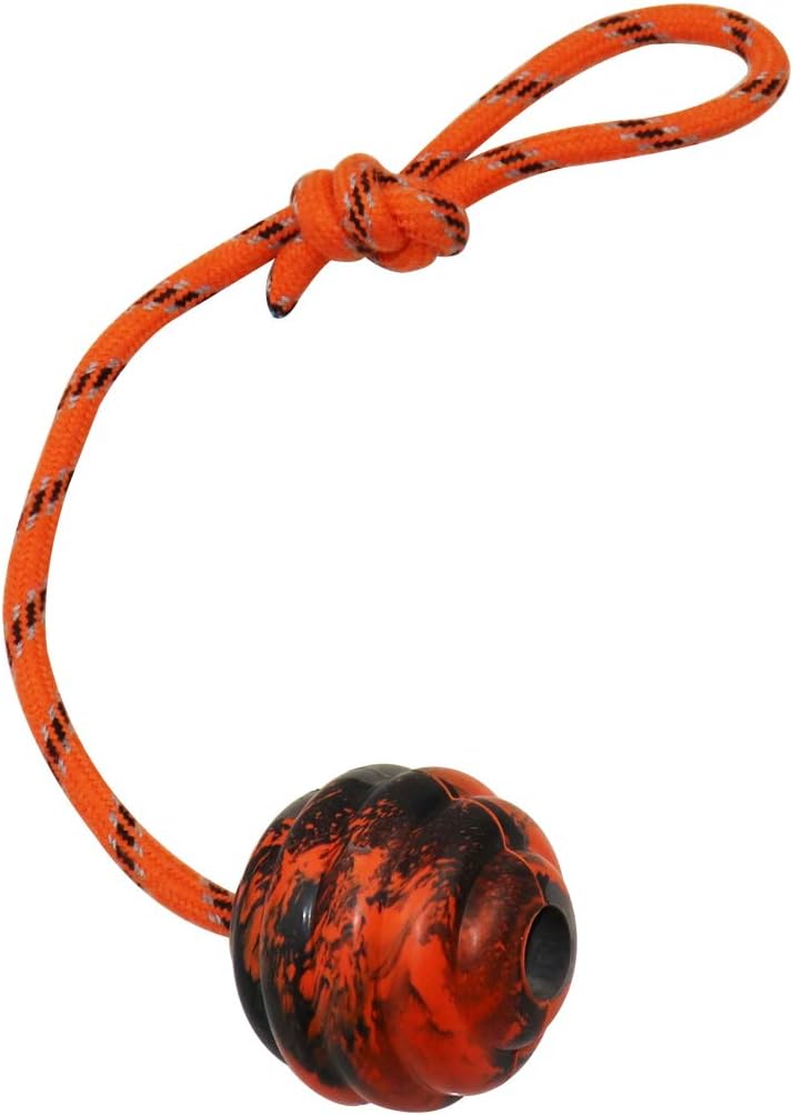 K9 Training Ball with Rope, Exercise and Reward Toy for Dogs - Orange - image 2