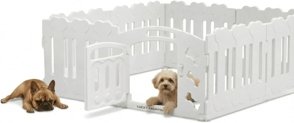 Dog Playpen with Divider & Washable Floor Pad - White / 8-Panel Extended Space / 24"H