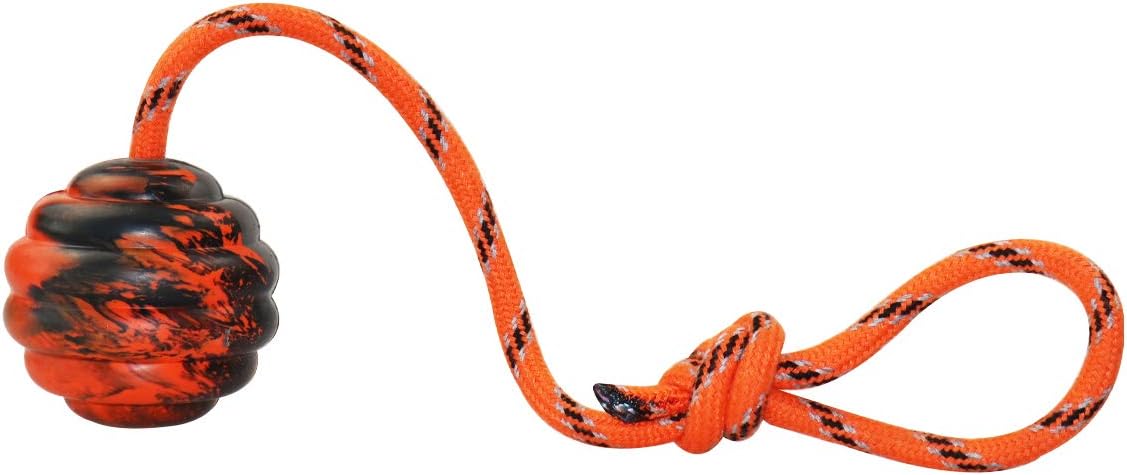 K9 Training Ball with Rope, Exercise and Reward Toy for Dogs - Orange