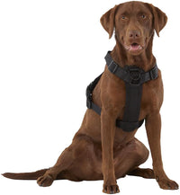 KONG Ultra Durable Waste Bag Harness – Essentials for Dogs - image 2