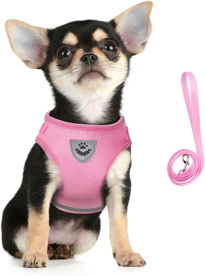 FEimaX Dog Harness and Leash Set for Walking - Pink / Small