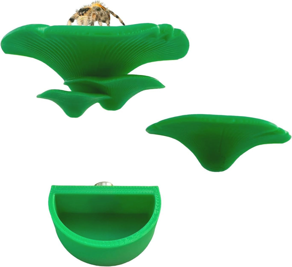 2 Pack Jumping Spider Accessories Mushroom Ledges & 1 Pack Water Bowl - green