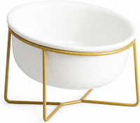 Small Glass Tilted Elevated Cat Dog Bowl Raised Cat Food Water Bowl - Large / White