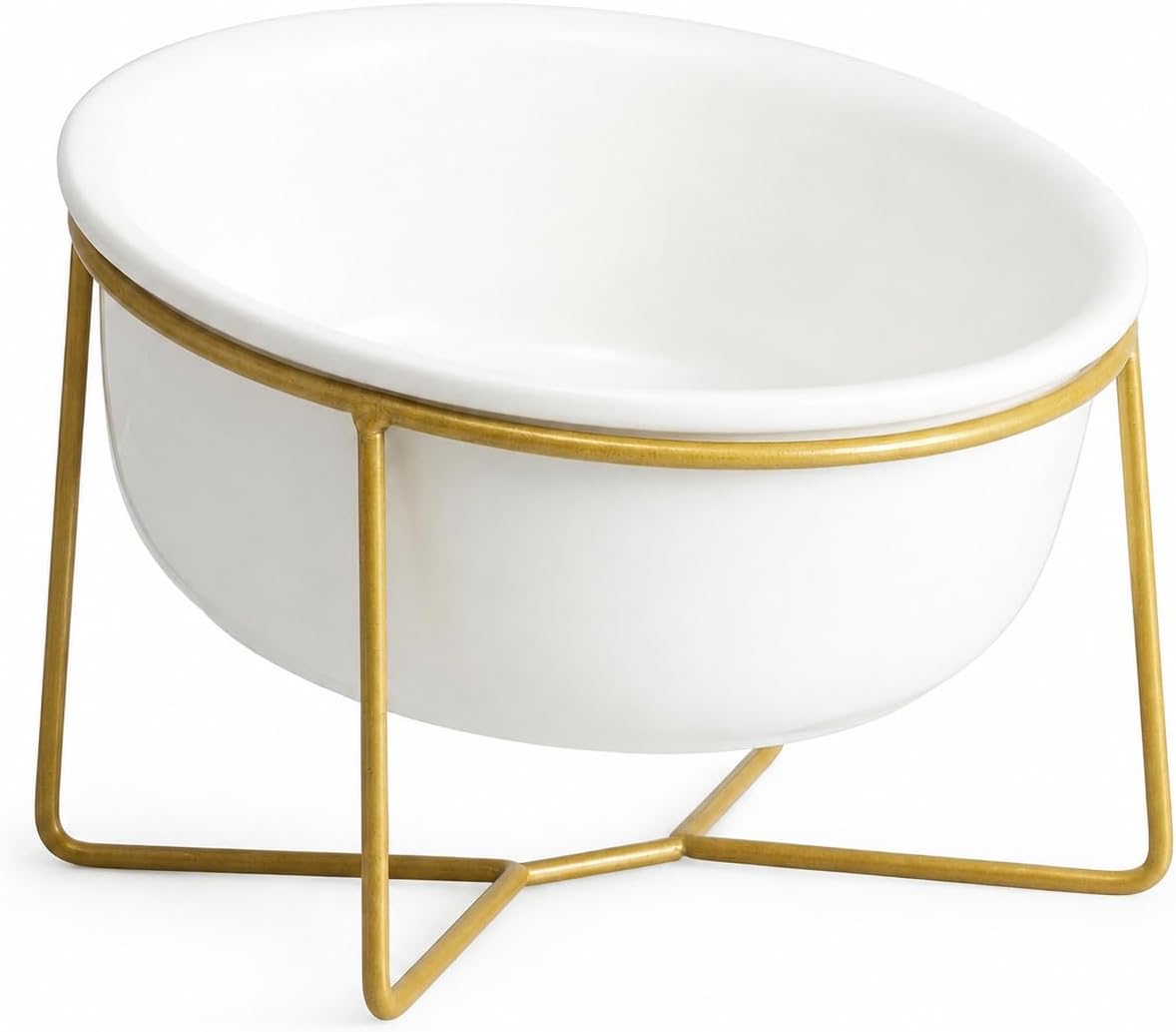 Small Glass Tilted Elevated Cat Dog Bowl Raised Cat Food Water Bowl - Large / White