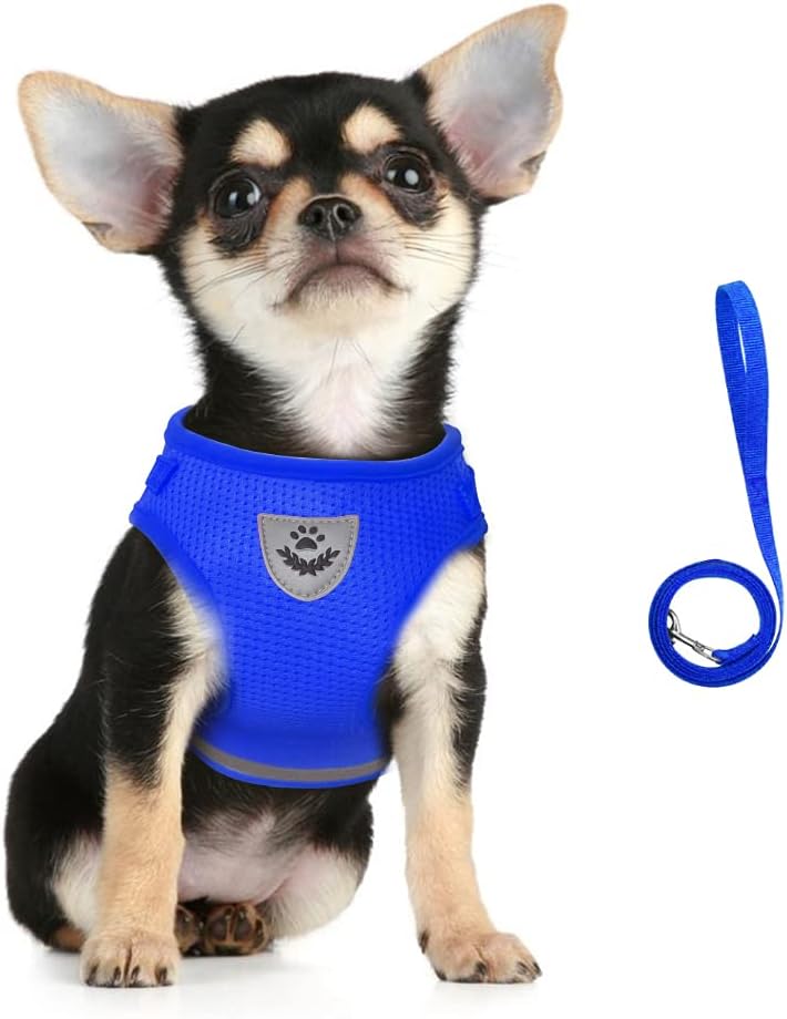 FEimaX Dog Harness and Leash Set for Walking - Blue / X-Large