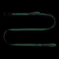ICEFANG Tactical Dog Leash,K9 Training Walking Bungee Lead with 2 Control Handle,Heavy Duty Quick Release Metal Clasp,for Medium Large Breed (Teal, 6 FT)